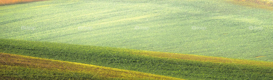 Travel around the world