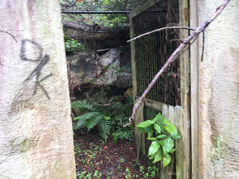 Abandoned Jungleland Zoo