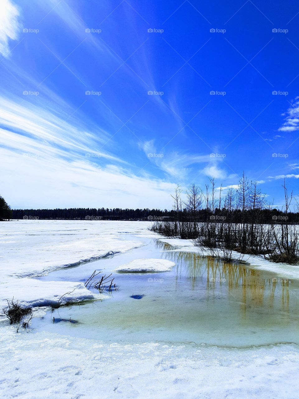 in wetland...Höträsket