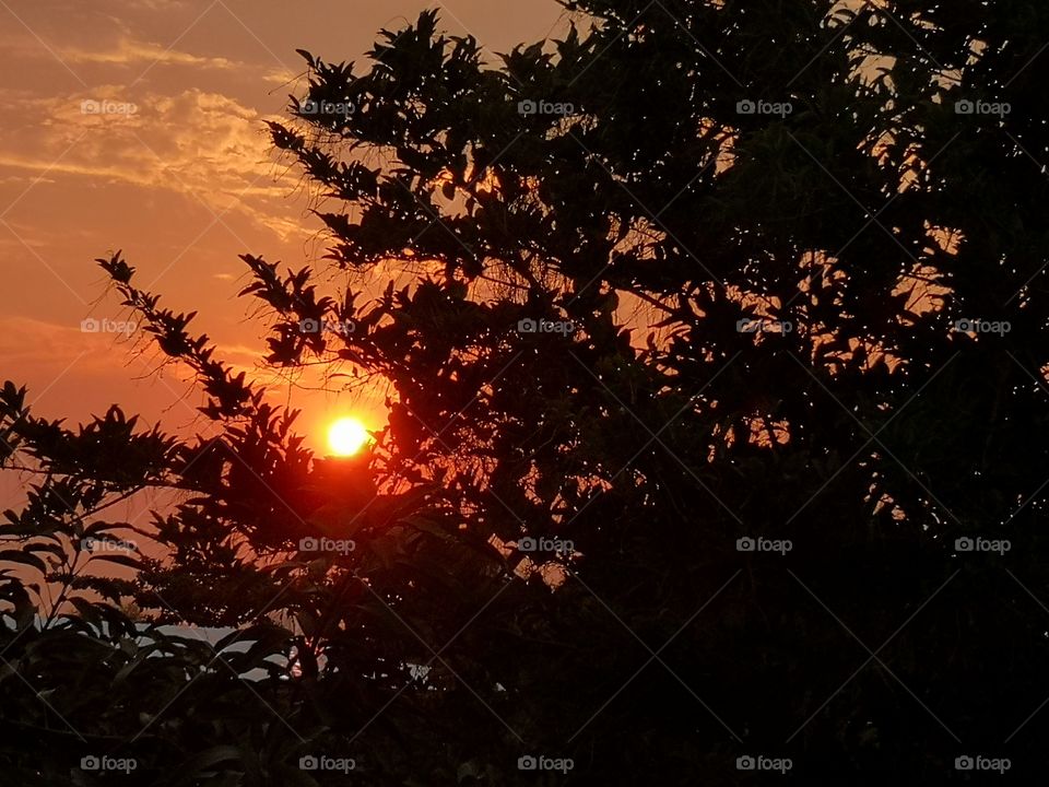 The varieties background