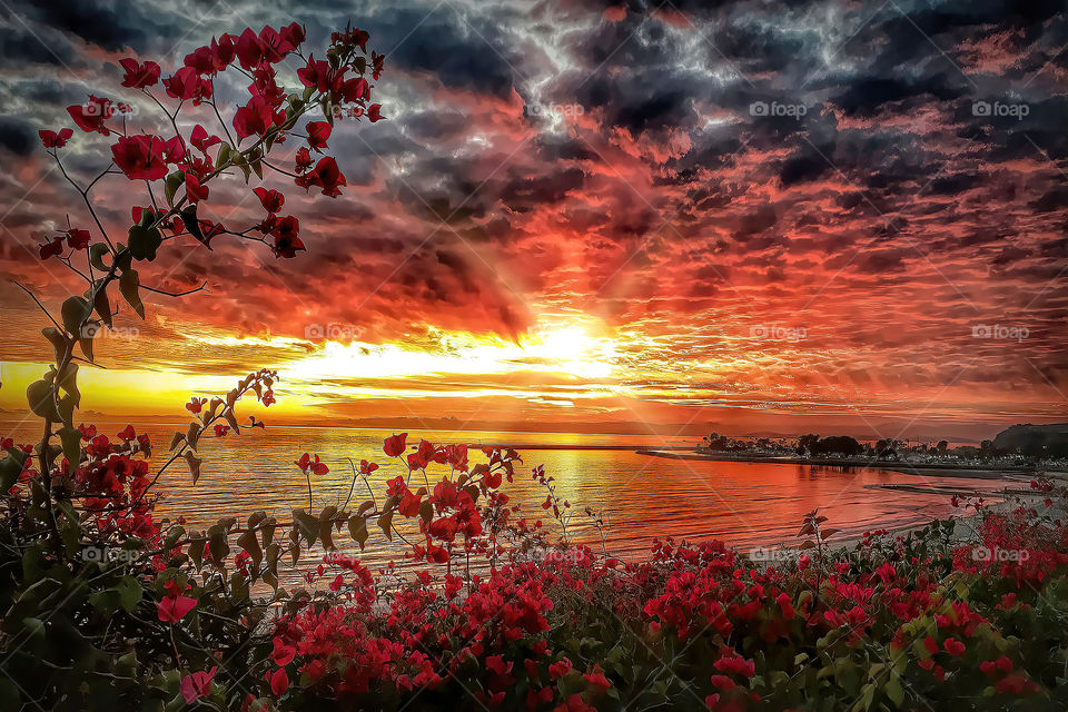 Stunning Red sunset overlooking Dana Point Harbor. A very visceral and dramatic view seeing storm clouds in the horizon 