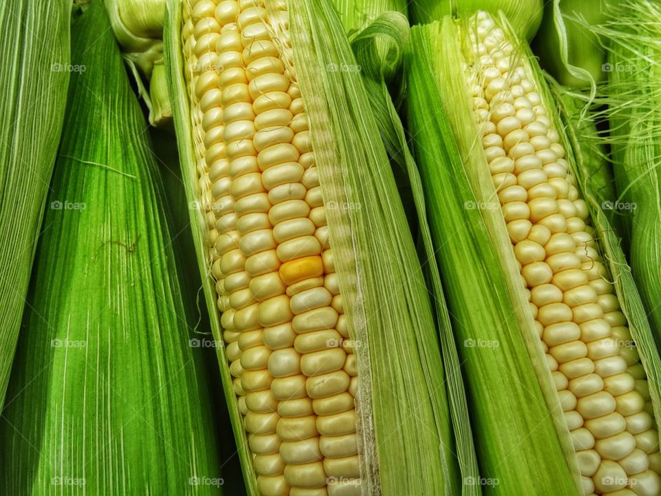 Delicious summer corn