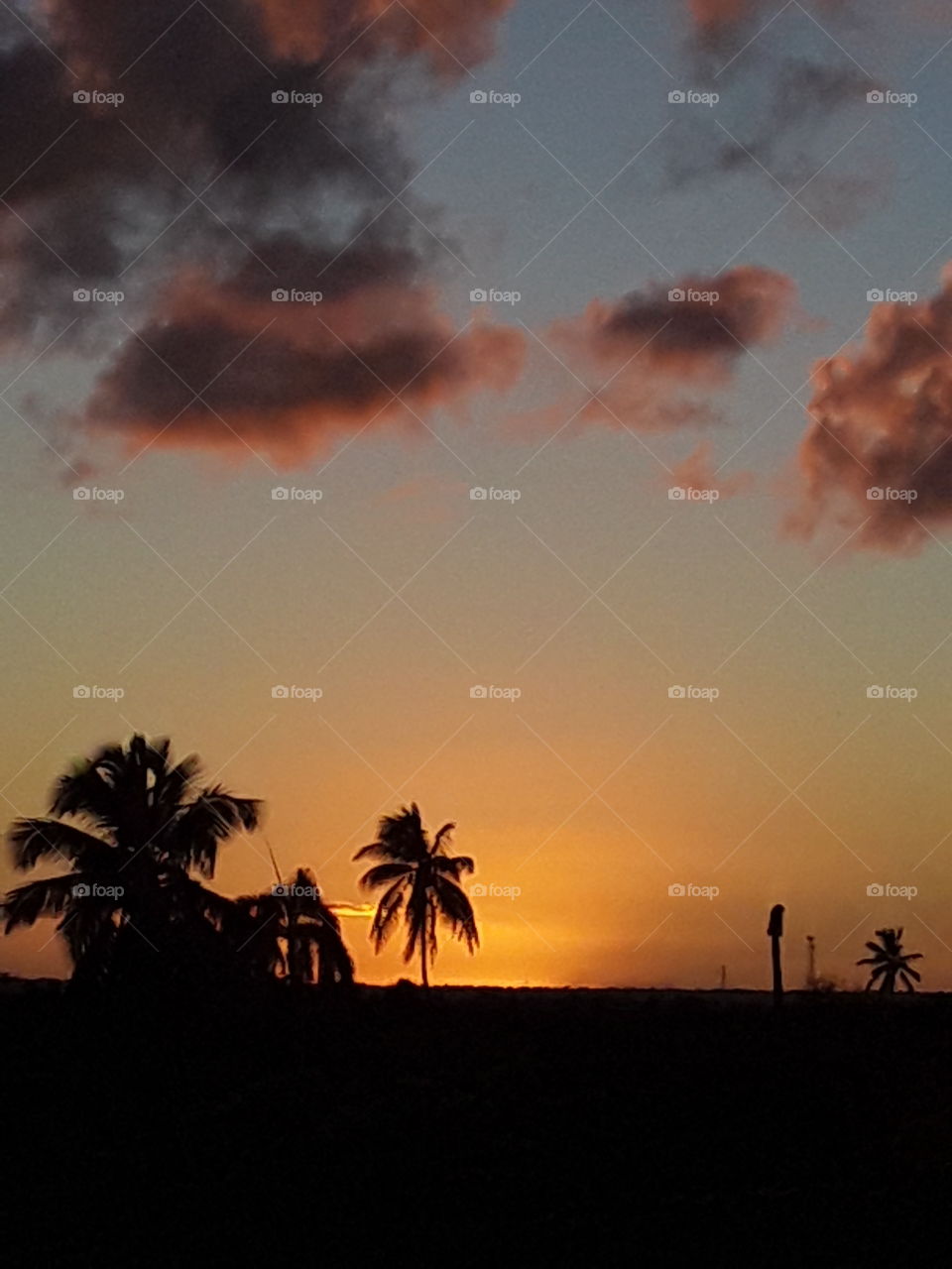 sunset in the tropics