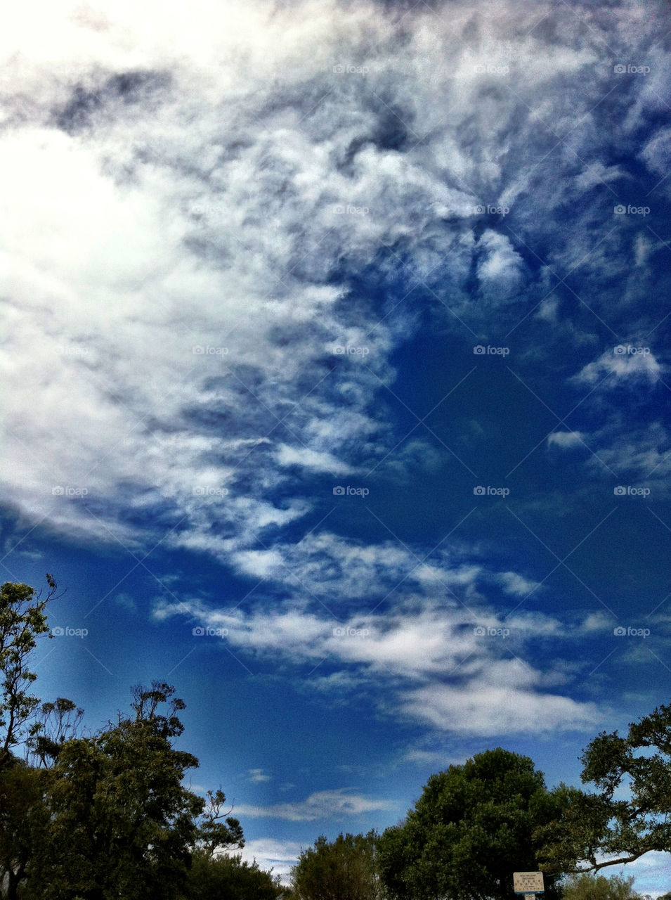 sky nature blue outdoors by king