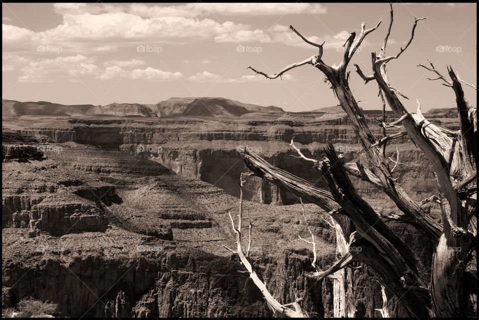 landscape las vegas navada grand canyon by jbrinkler