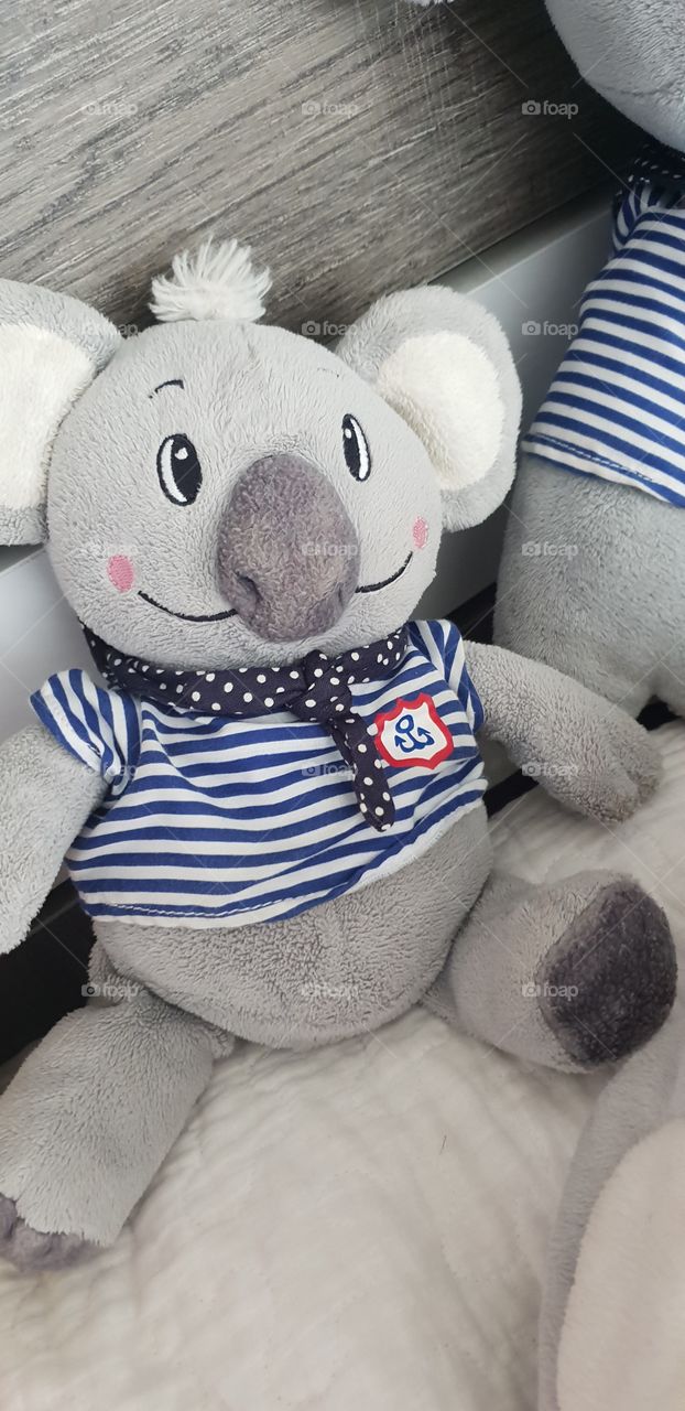 santurde Castilla y León Burgos 🐾😍