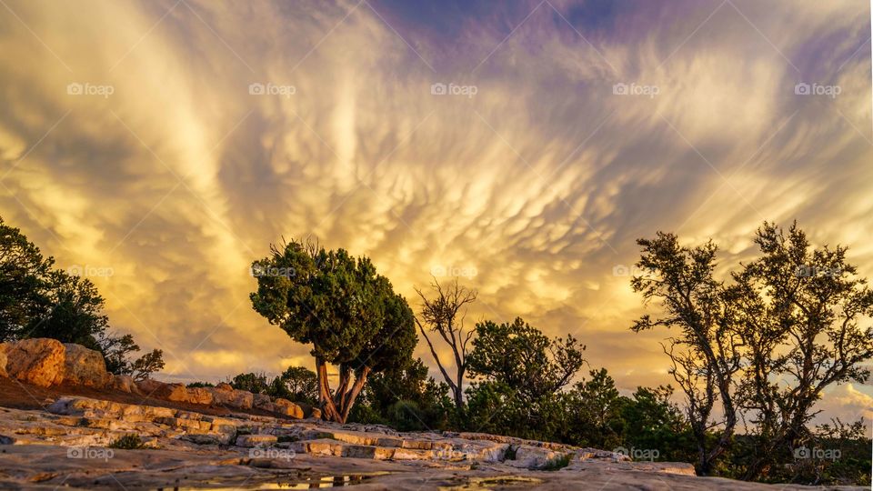 Sunset Grand Canyon