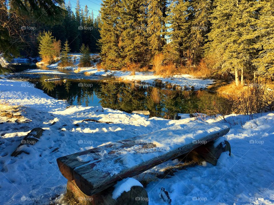 Winter serenity. A lovely spot to rest on a pretty winter walk in the park 