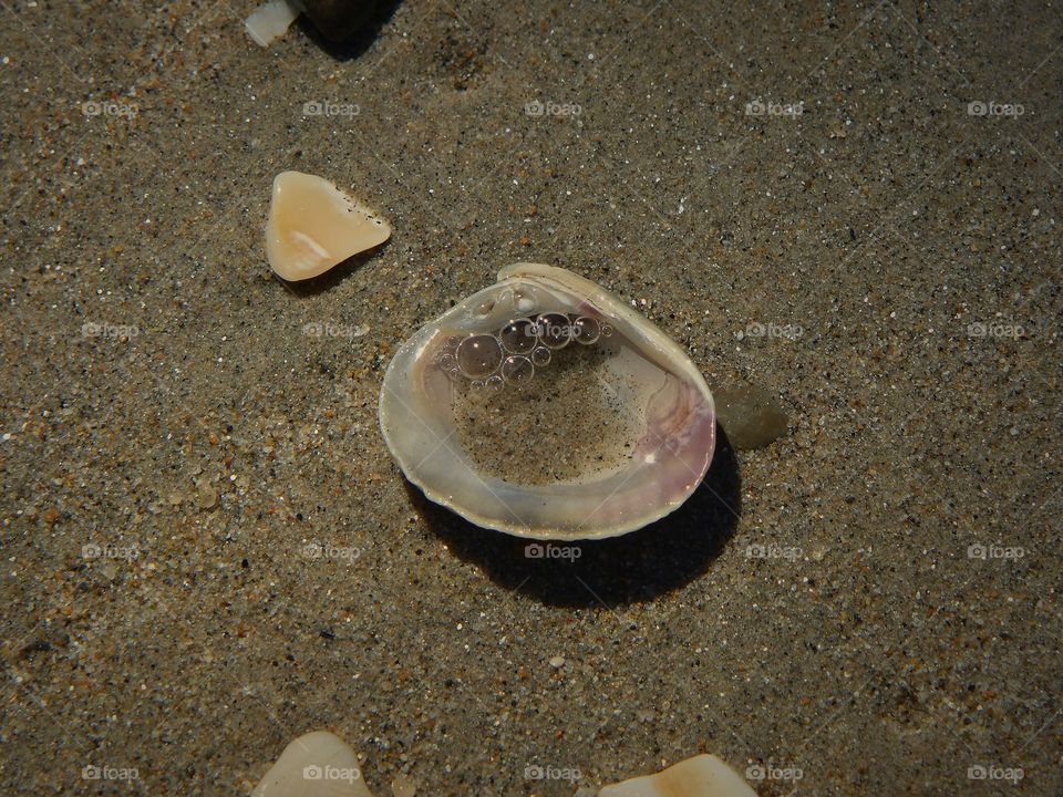 Surf bubbles caught in open shell 