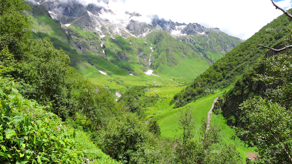 Valley of Flowers