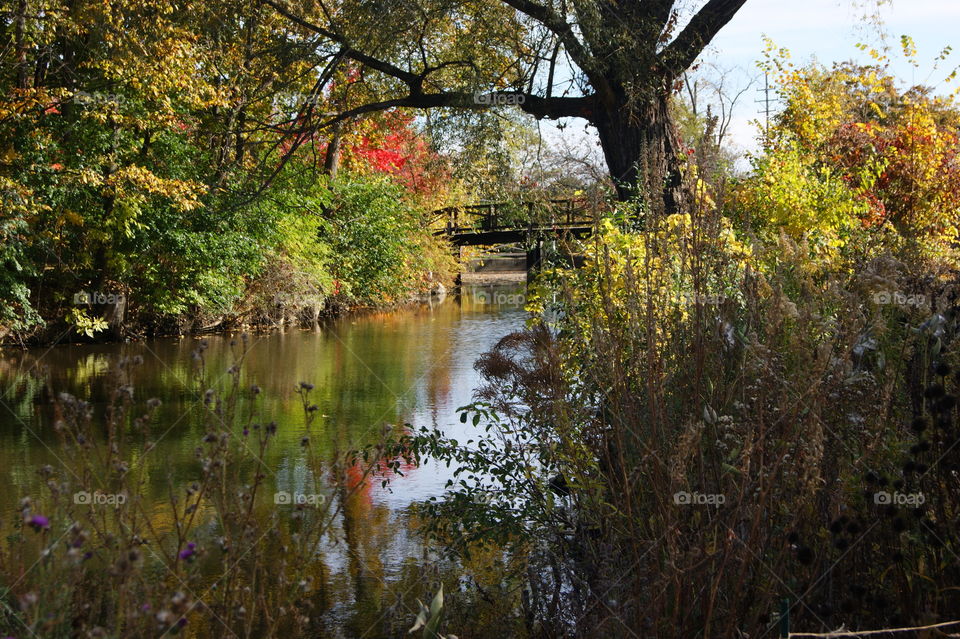 Fall reflections in Michigan 