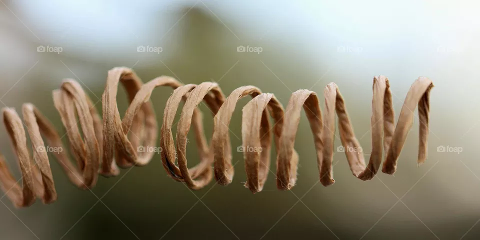 Kartonspirale