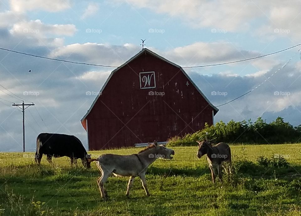 Driving the Back Roads and enjoying everything around us