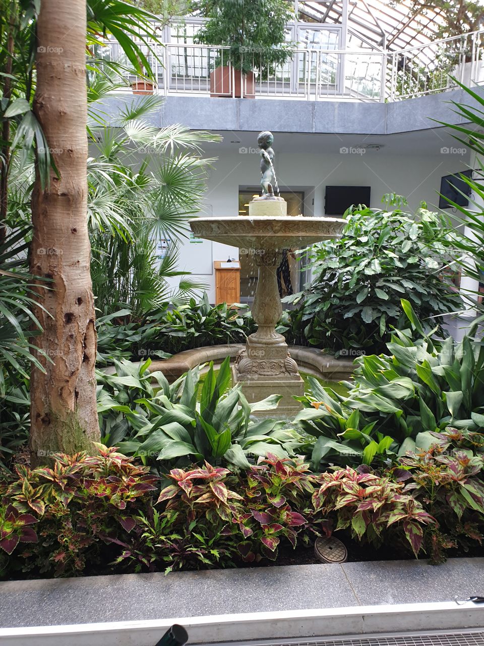 Palmengarten Frankfurt