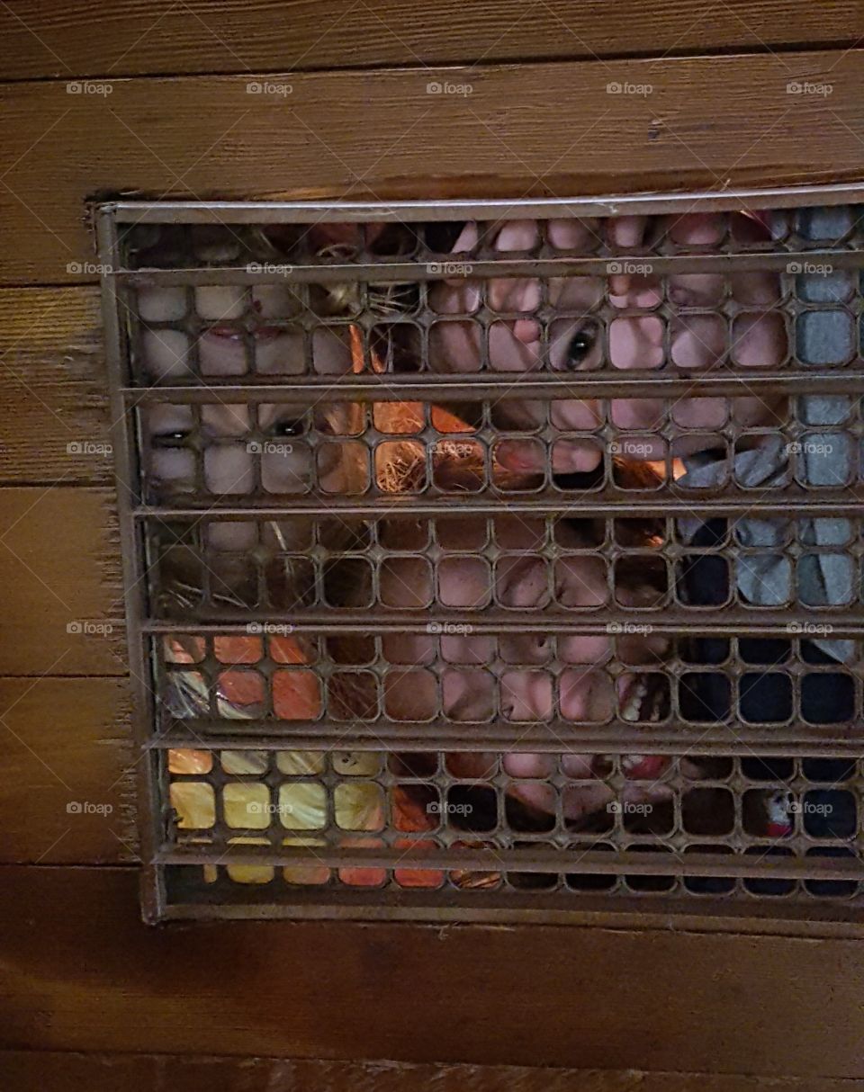 Looking through the register.