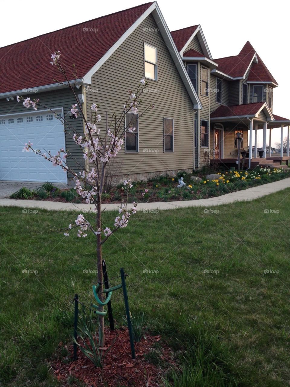 spring household picture