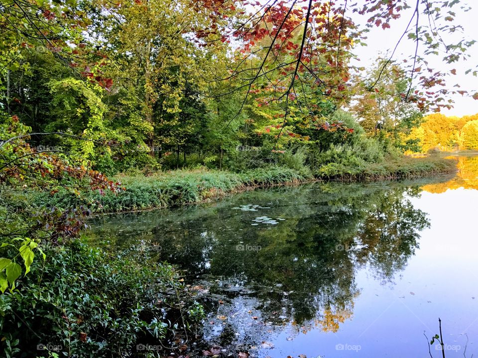 Autumn reflections 