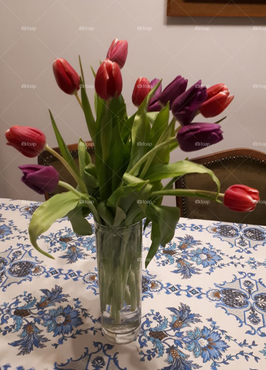 tulips