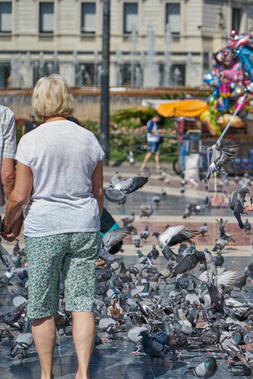 Pigeons invasion