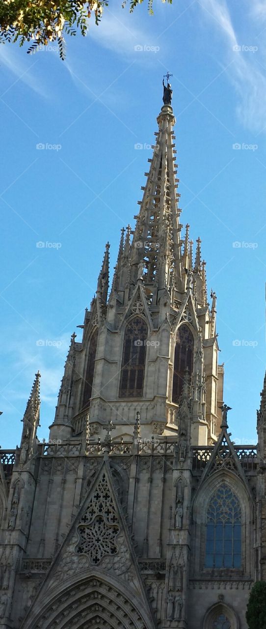 Barcelona Cathedral