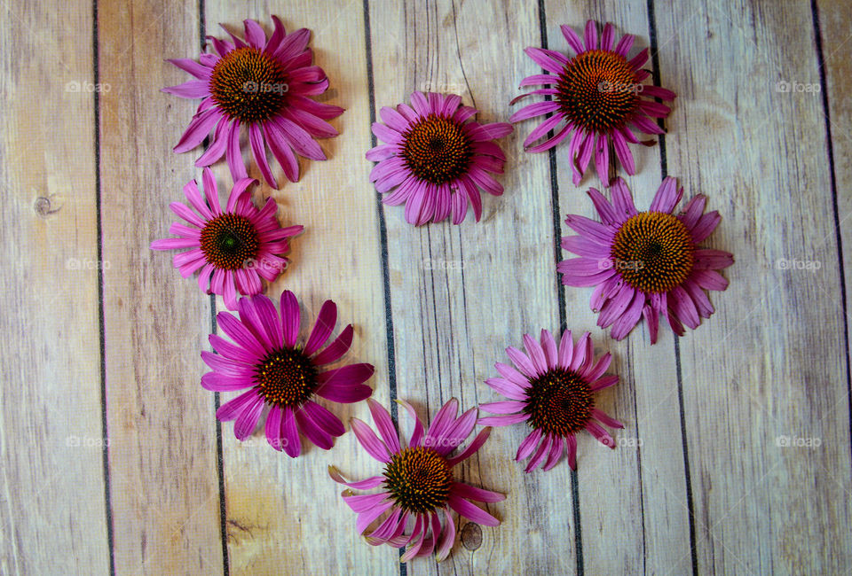 Purple wildflowers laid out in the shape of a heart on a rustic wood backdrop