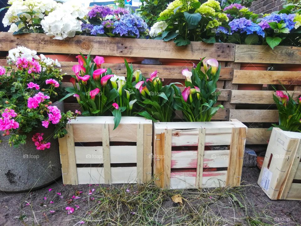 Flower arrangment in boxes. Handmade.