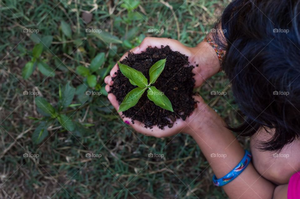 Planting plant for life.