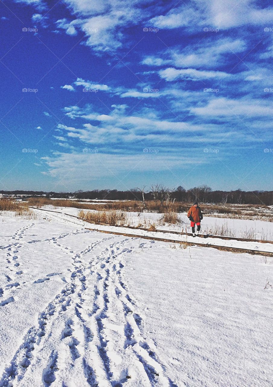 New England Winter 
