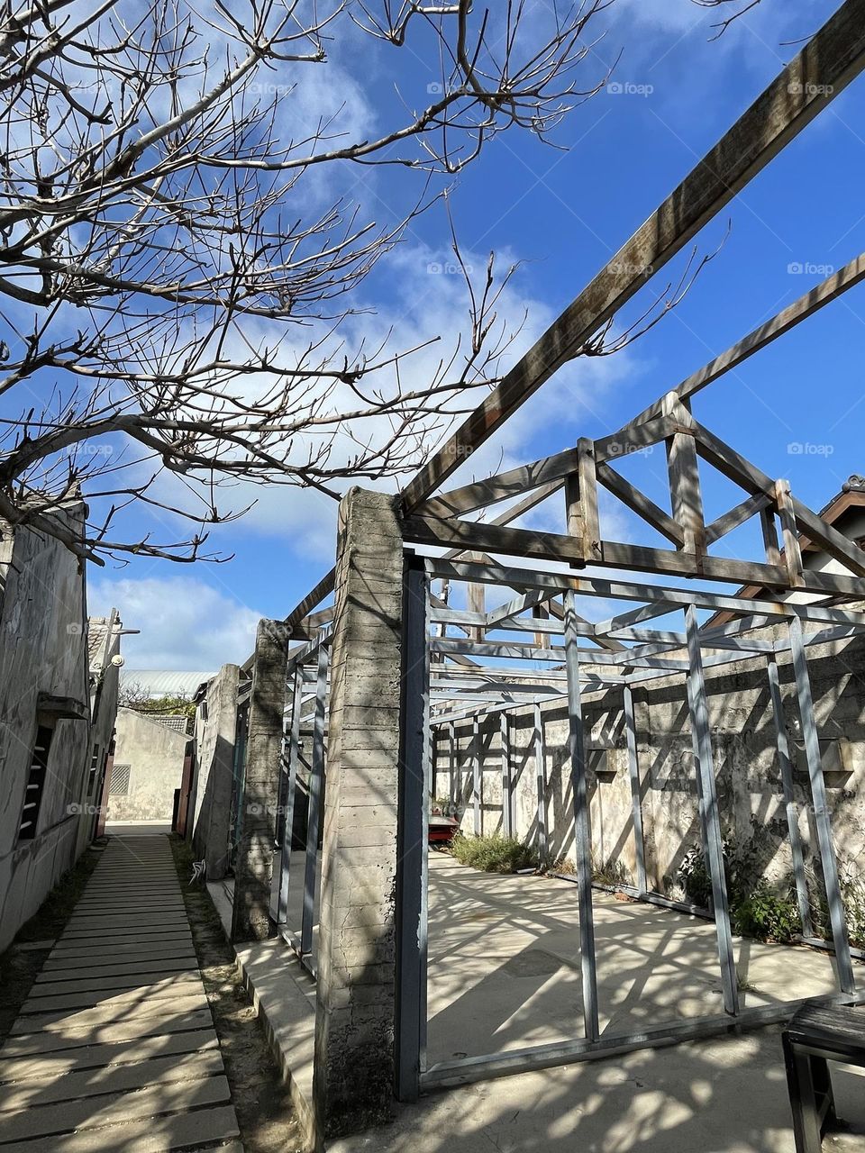 The branches twined about the house.