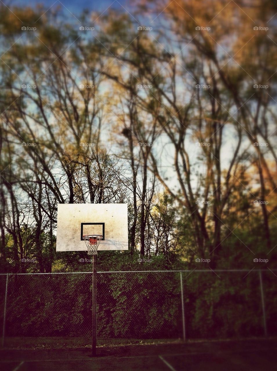 Playing some basketball.