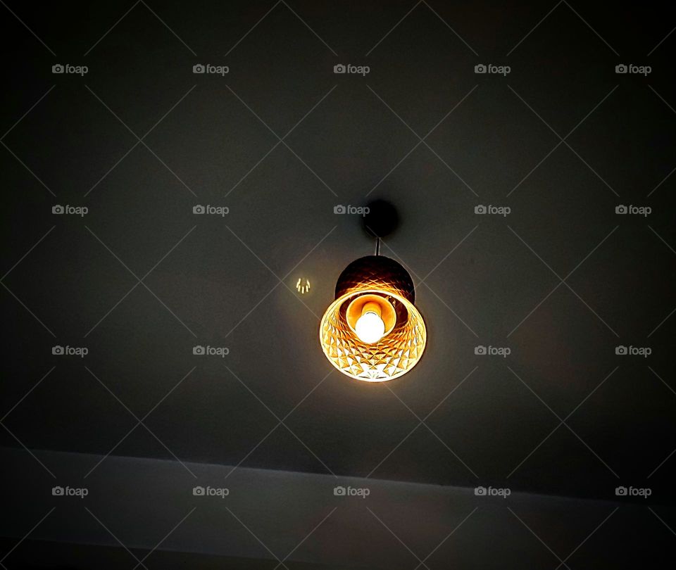 Editor's choice, photo of the week