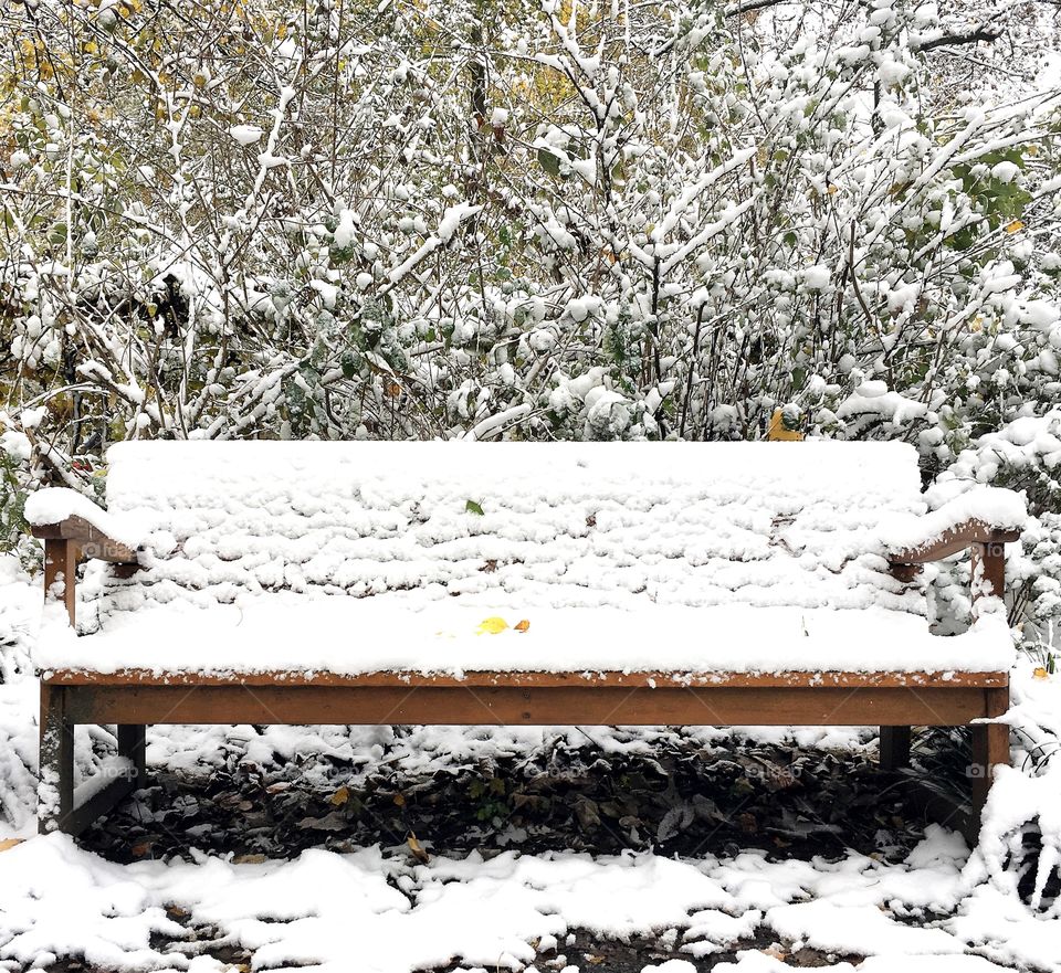 Bench in the snow