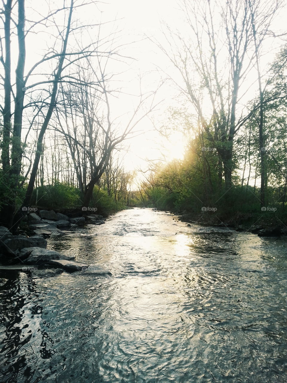 Spring Creek,  PA