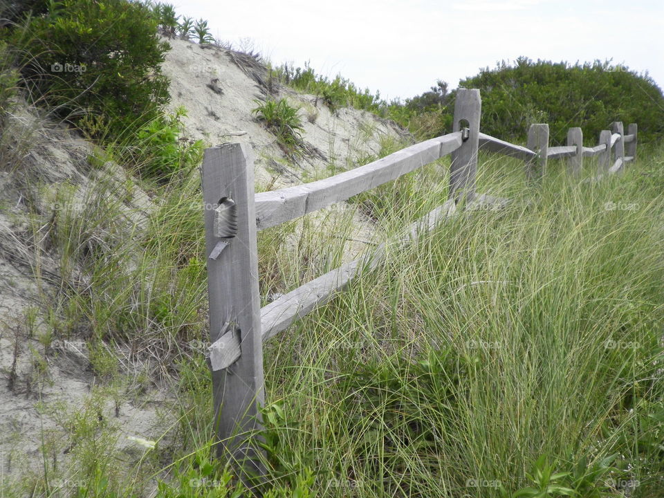 fenced in dune