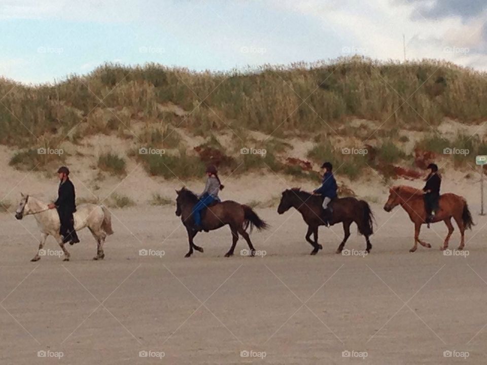 Horse riding on beach