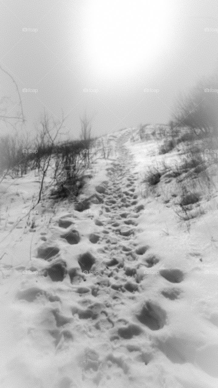 winter trail 