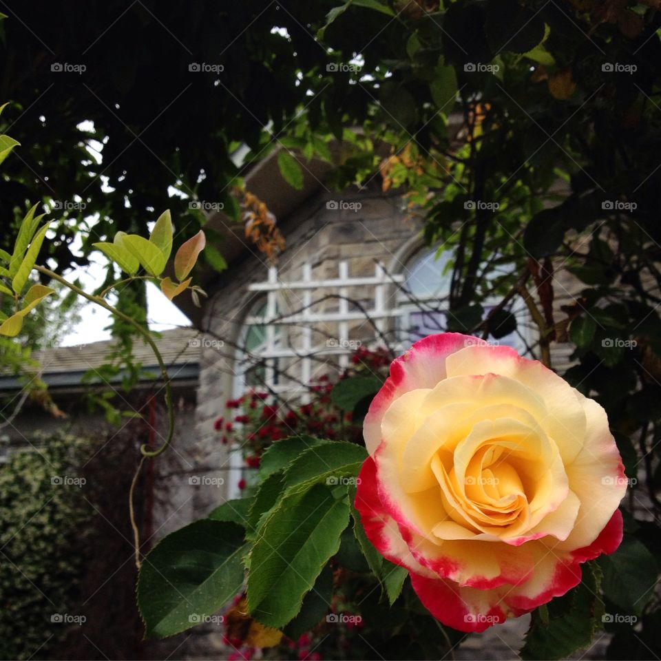 You've got to take the good with the bad, smile with the sad, love what you've got and remember what you had, always forgive but never forget, learn from your mistakes but never regret...