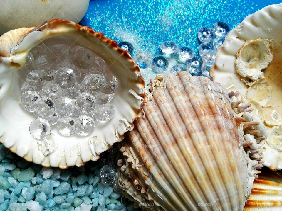 sea shells with glass stones white glich and blue background