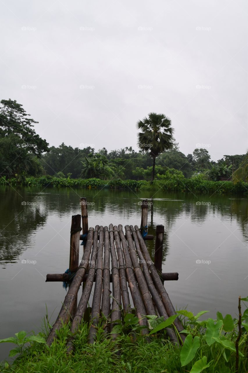 a peaceful pond in bangladesh
