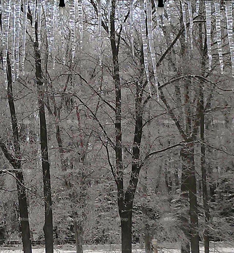 icicles