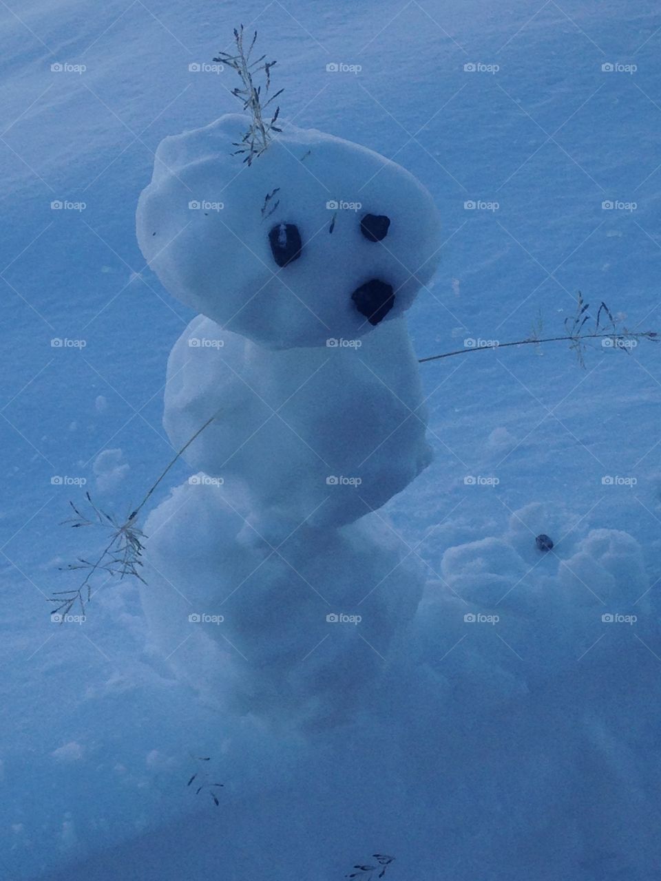 The mini snowman