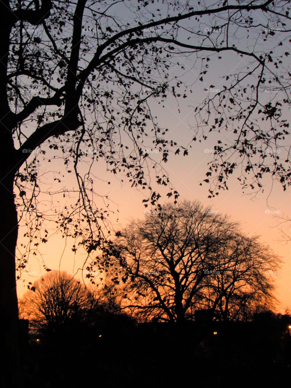 In the park