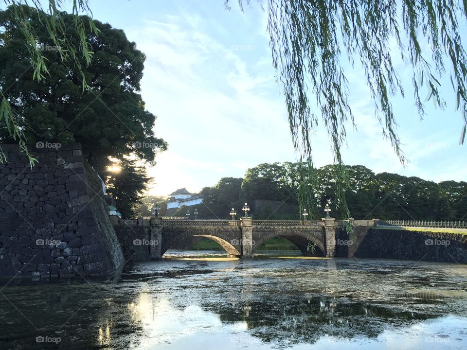 Bridge over pond