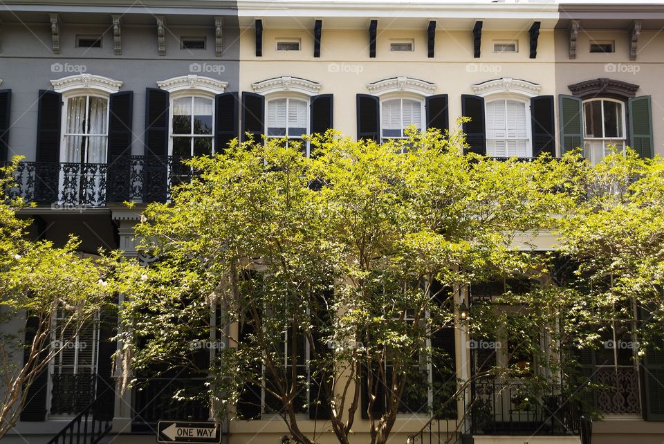 Vintage retro style architectural design of a residential building is hidden in obscurity by downtown Savannah's naturally beautiful trees.