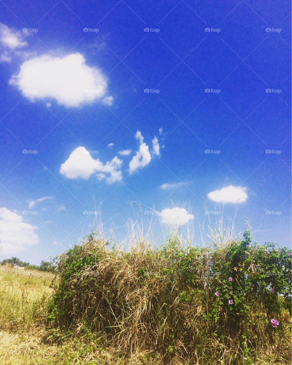 🗾Um #céu azul totalmente inspirador!
Como não contemplar?
🙌🏻
#natureza #paisagem #fotografia #mobgrafia #inspirador #sky #landscapes