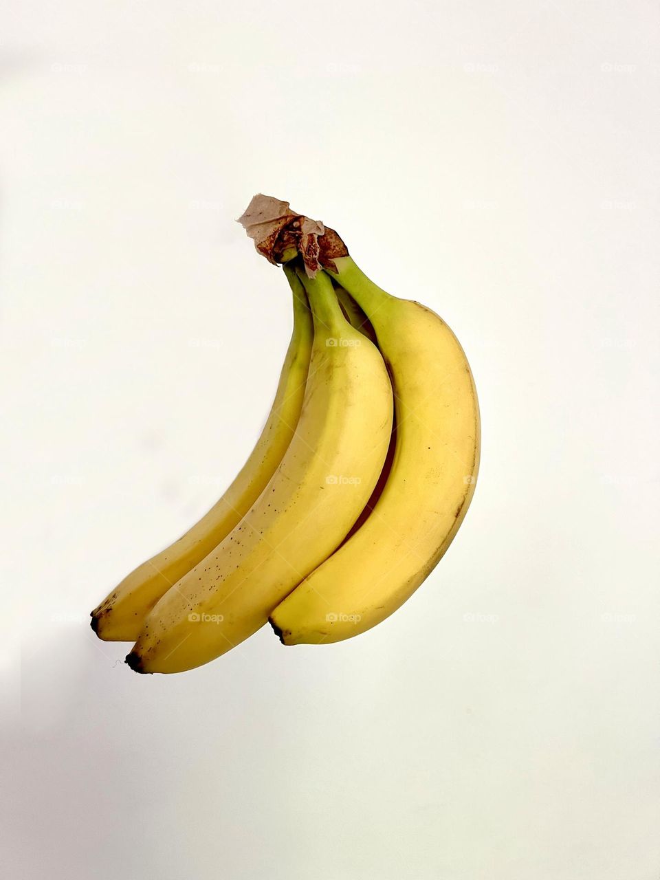 Branch of bananas on a white background