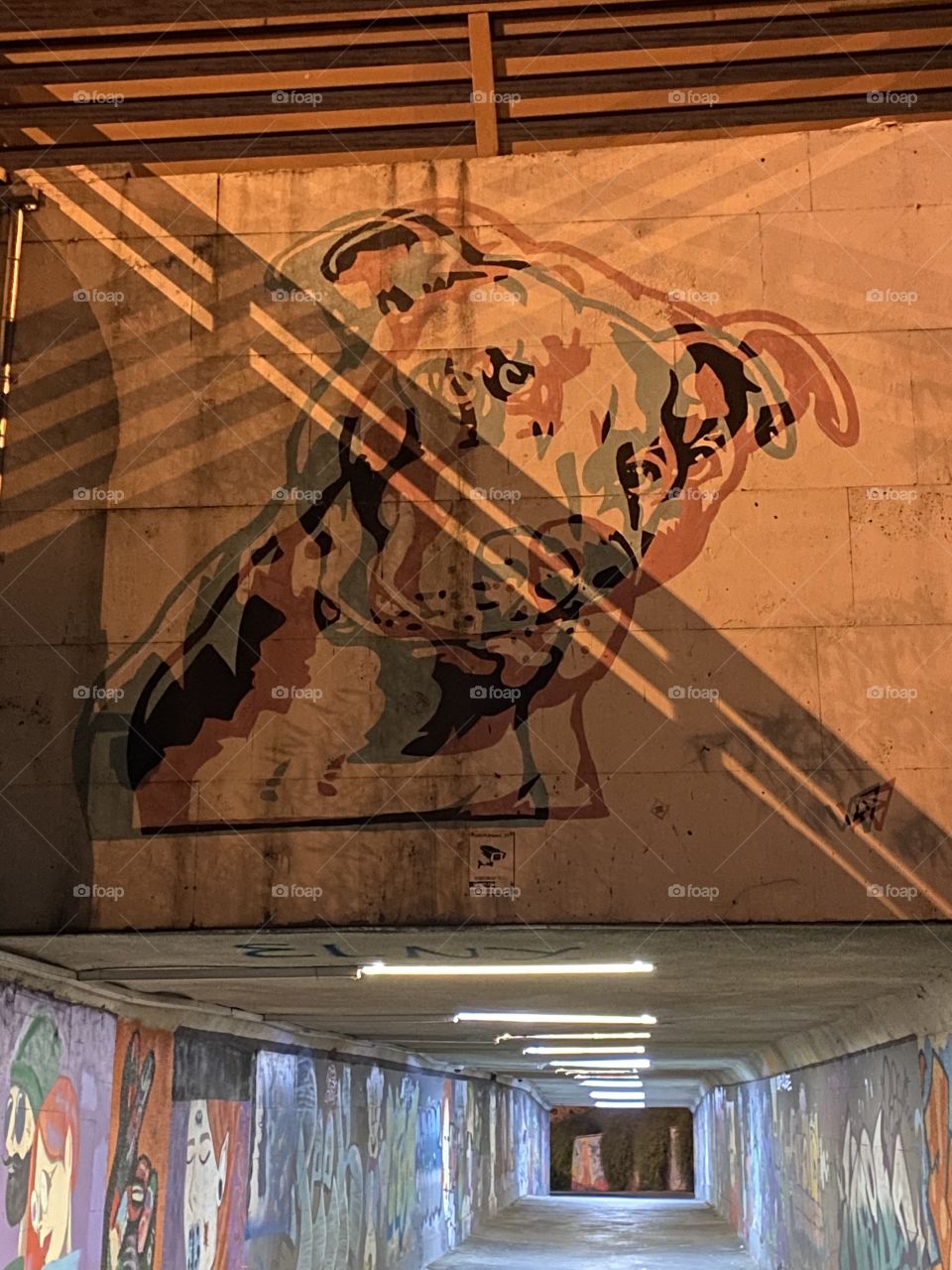 Graffiti Tunnel 3D Dog