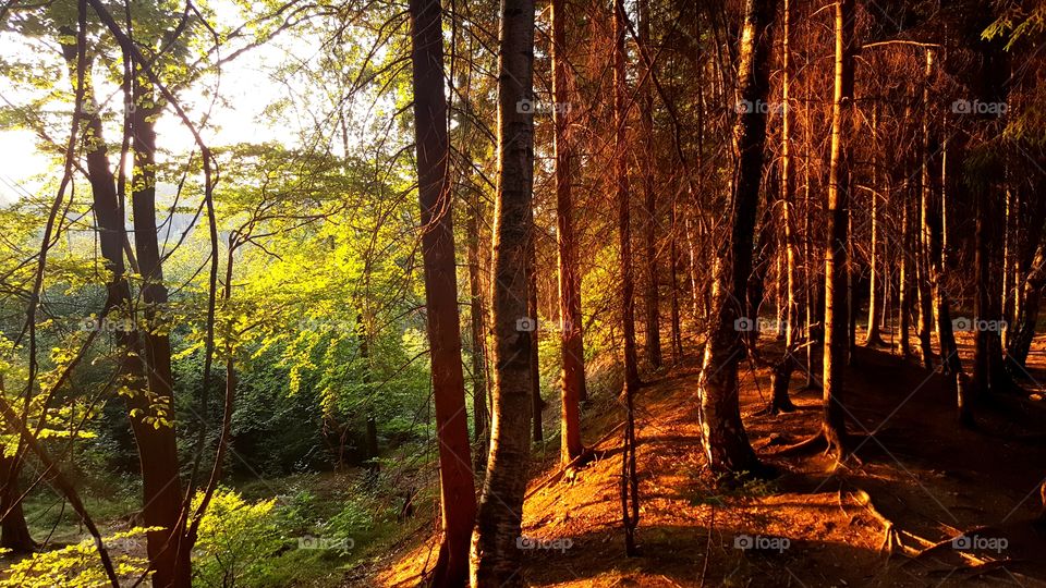 Sunset in Karkonosze Mountains (Poland).