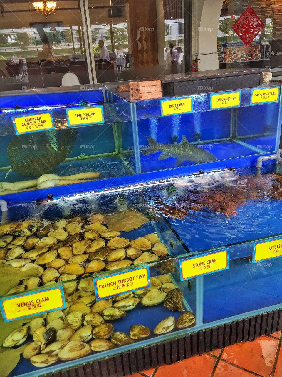 Singapore seafood market 