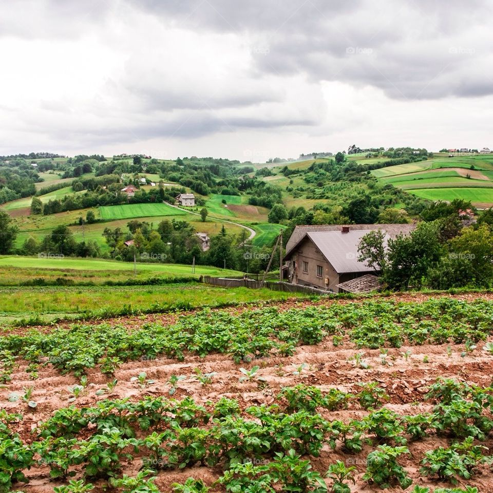 outdoors cultivation culture no people by przemekklos